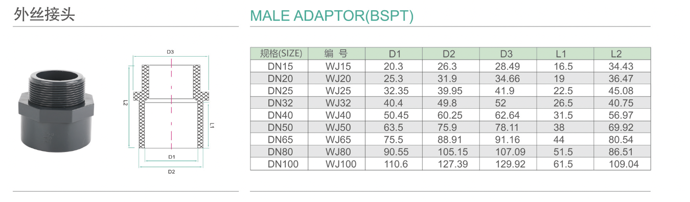 外丝接头.png